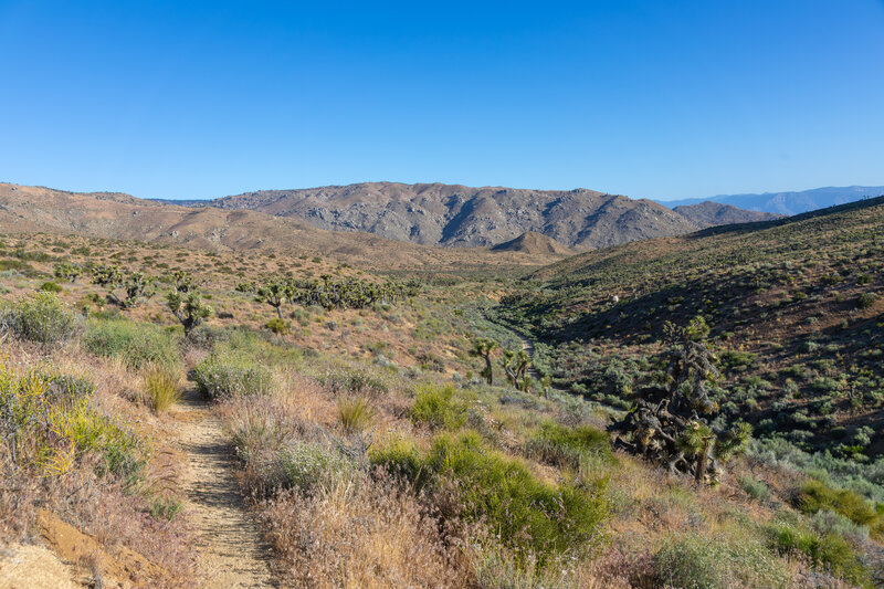 Bright Star Wilderness in the distance.
