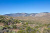 Piute Mountains