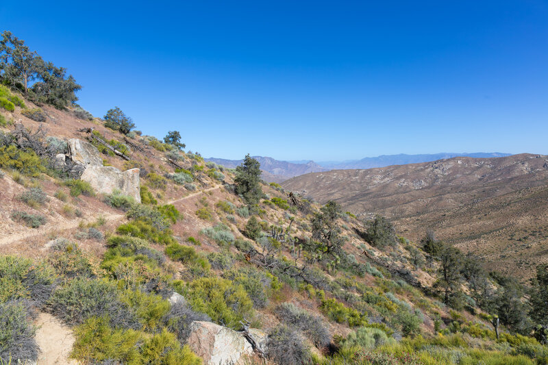 Northern flank of Pinyon Mountain.