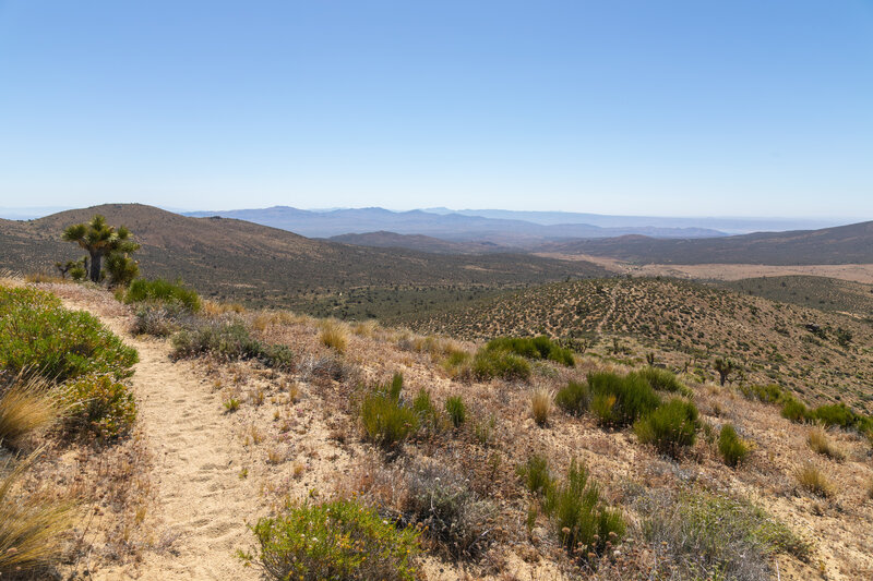 Dove Spring Canyon