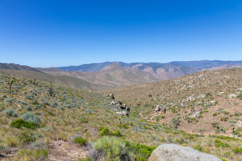 Mayan Peak and Piute Mountains in the distance.