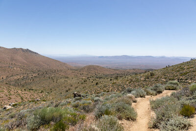 View east towards the El Paso Mountains.