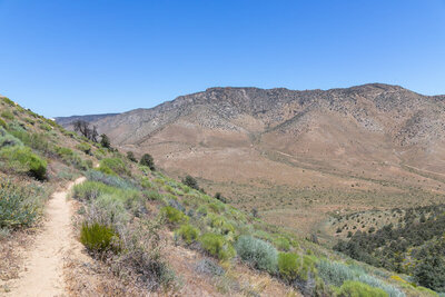 Skinner Peak