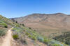 Skinner Peak