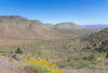Bird Spring Canyon