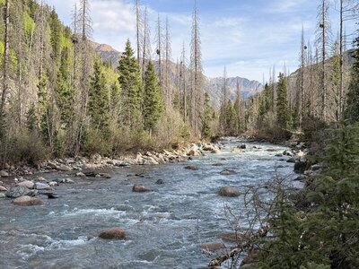 Vallecito creek.