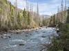 Vallecito creek.