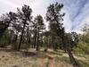 Dry trail conditions in late May 2026.
