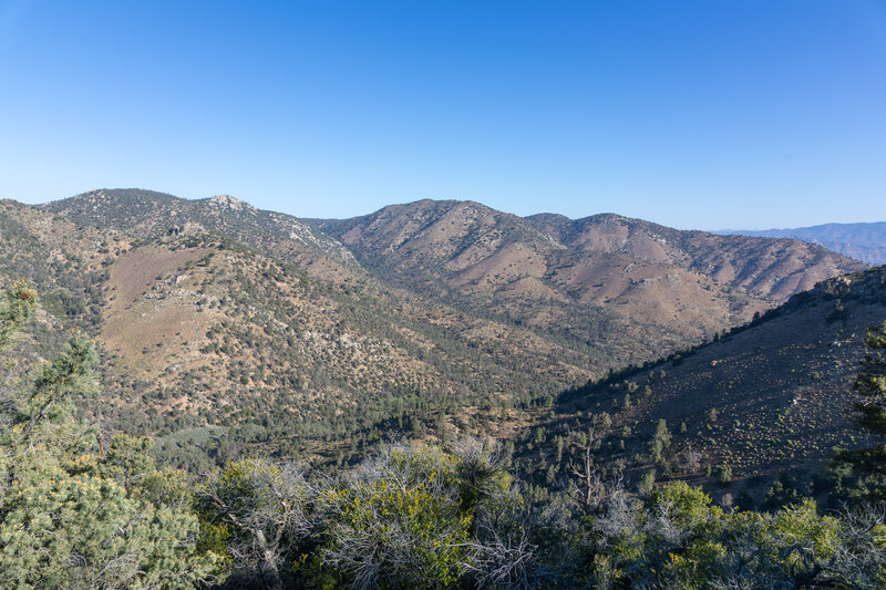 Jacks Creek Canyon