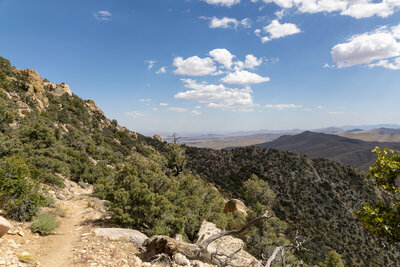 Switchbacks southeast of Skinner Peak.