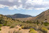 Wyleys Knob from a canyon just below Skinner Peak.