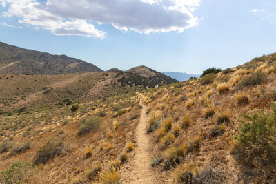 Approaching Bird Spring Pass.