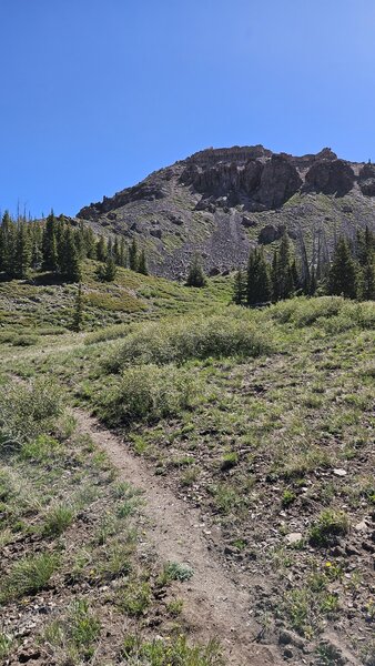 Marathon Trail - Bear Flat to Brian Head Peak Hiking Trail, Cedar City ...