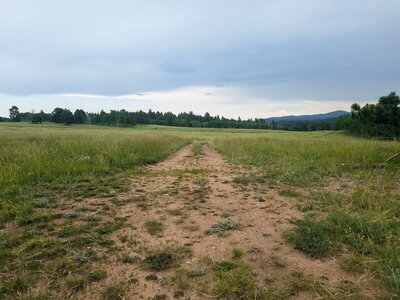 Meadow near road where most dirt bikes stage.