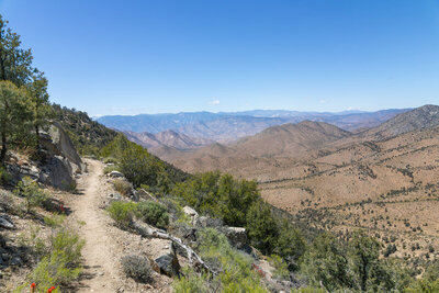 Rounding Morris Peak