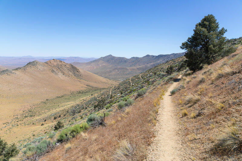 Switchbacks to Walker Pass up ahead.