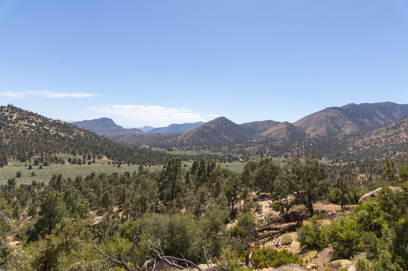 Lamont Meadow