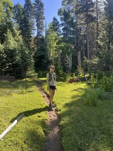 Unreal wonderland trail.