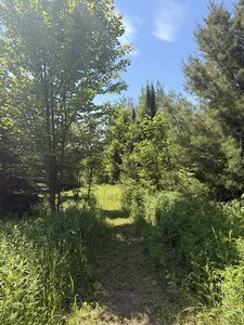 Entering a prairie
