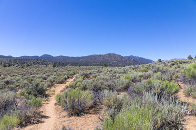 Kennedy Meadows