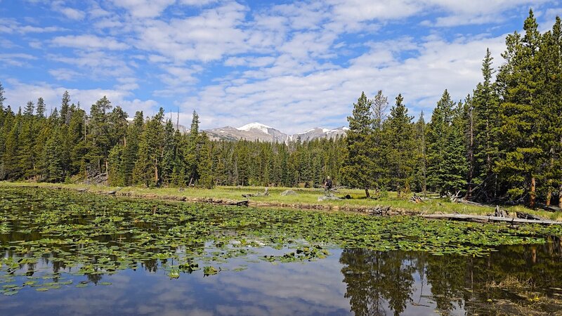At one of the ponds just before Sherd Lake
