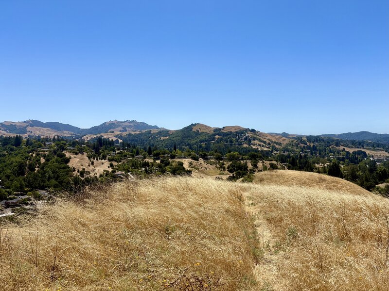 7/3/2026 - View of Rocky Ridge (center-left) and Las Trampas Peak (left) from the southern viewpoint on the Mulholland Ridge Trail.