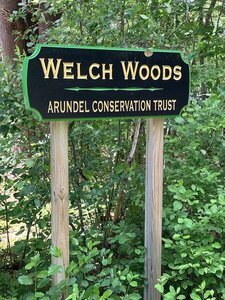 Welch Woods.