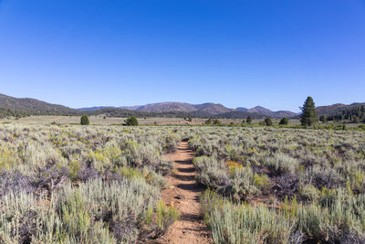 Looking south across Kennedy Meadows.