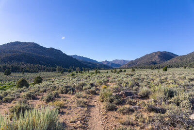Heading north towards the South Sierra Wilderness.