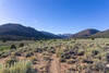 Heading north towards the South Sierra Wilderness