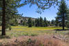 A beautiful meadow at the base of Deer Mountain.