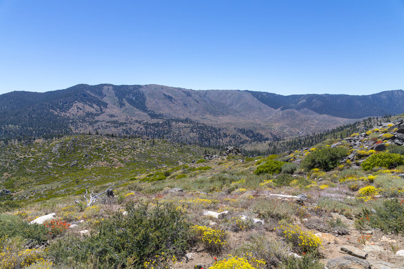 The burn scar from the 2008 Clover Fire.