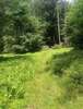 Early on Shade (Schade) Path a sunny spot.