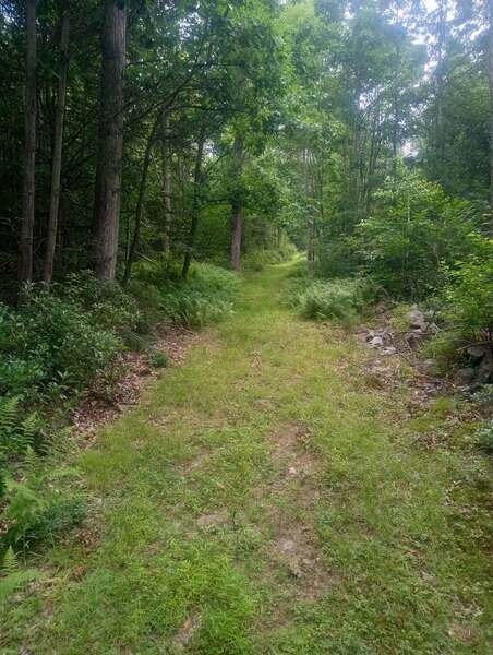 Shade Path - Good climb