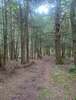 Railroad Run Trail - in the clear
