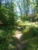Hough Mtn. Trail going up!