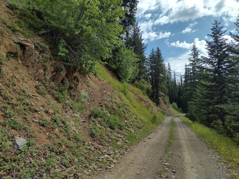 Looking east on the road, Shedroof Divide Trail (center left) is found on the left/north. It starts by angling up a steep hillside.