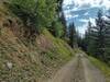 Looking east on the road, Shedroof Divide Trail (center left) is found on the left/north. It starts by angling up a steep hillside.