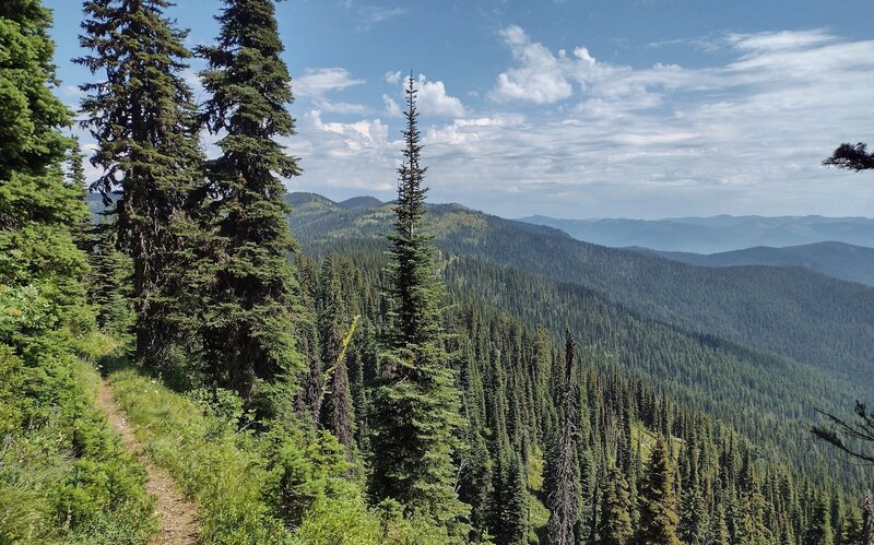 High on Shedroof Divide Trail, the Selkirk Mountains, near and far, are seen to the east.