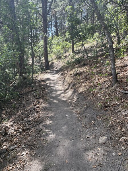Turkey track start