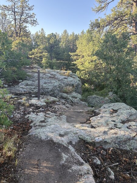 Drop down into the canyon.
