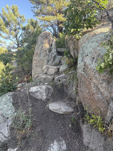 Excellent trail work