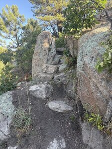 Excellent trail work
