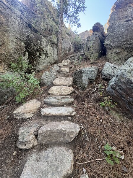 Climb up to Ancestors