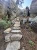 Climb up to Ancestors
