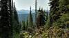 Selkirk Mountains to the southwest (in Washington), are seen through a break in the trees, high on the Salmo Divide Trail.