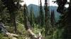 Nearby Shedroof Mountain, 6,759 ft. (upper center), is seen as Salmo Divide Trail approaches it.