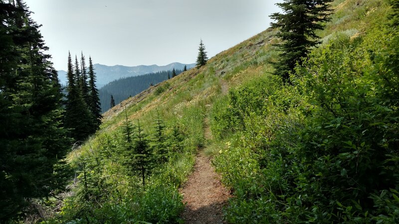 Pretty high meadows along Salmo Divide Trail, with views to the west of Selkirk Mountains in Washington.