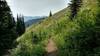 Pretty high meadows along Salmo Divide Trail, with views to the west of Selkirk Mountains in Washington.