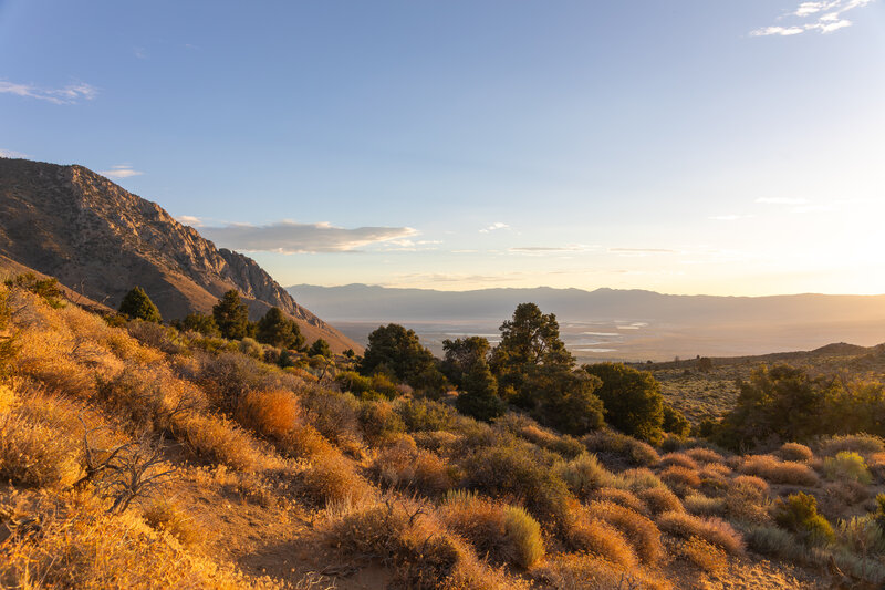 View towards Olancha
